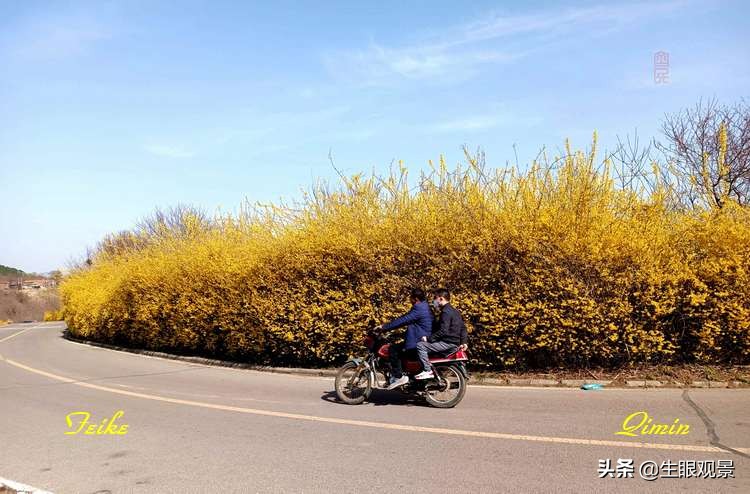 北京近郊春景,济南近郊春景