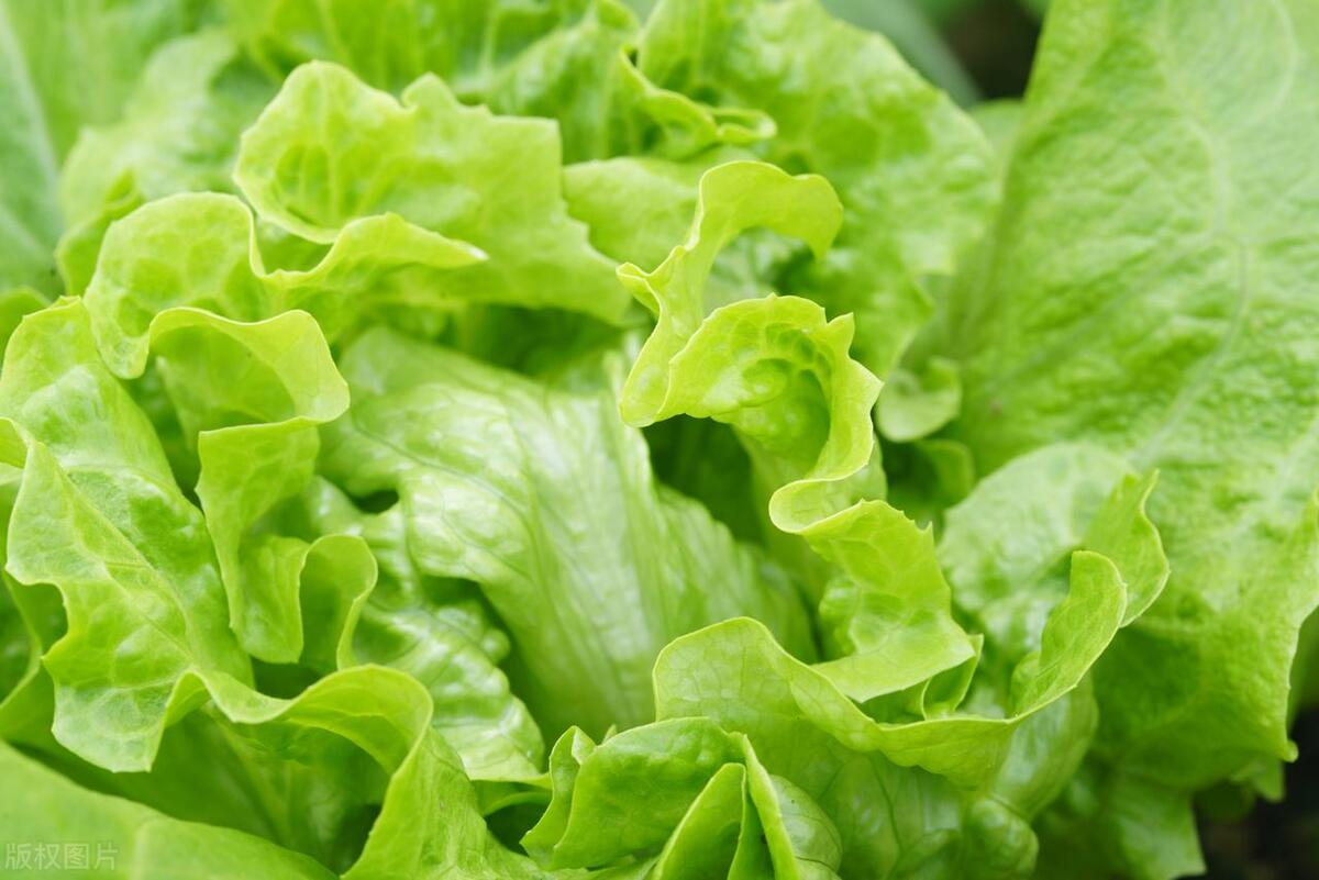 哪三种食物保护眼睛比猪肝还好,保护眼睛多吃猪肝