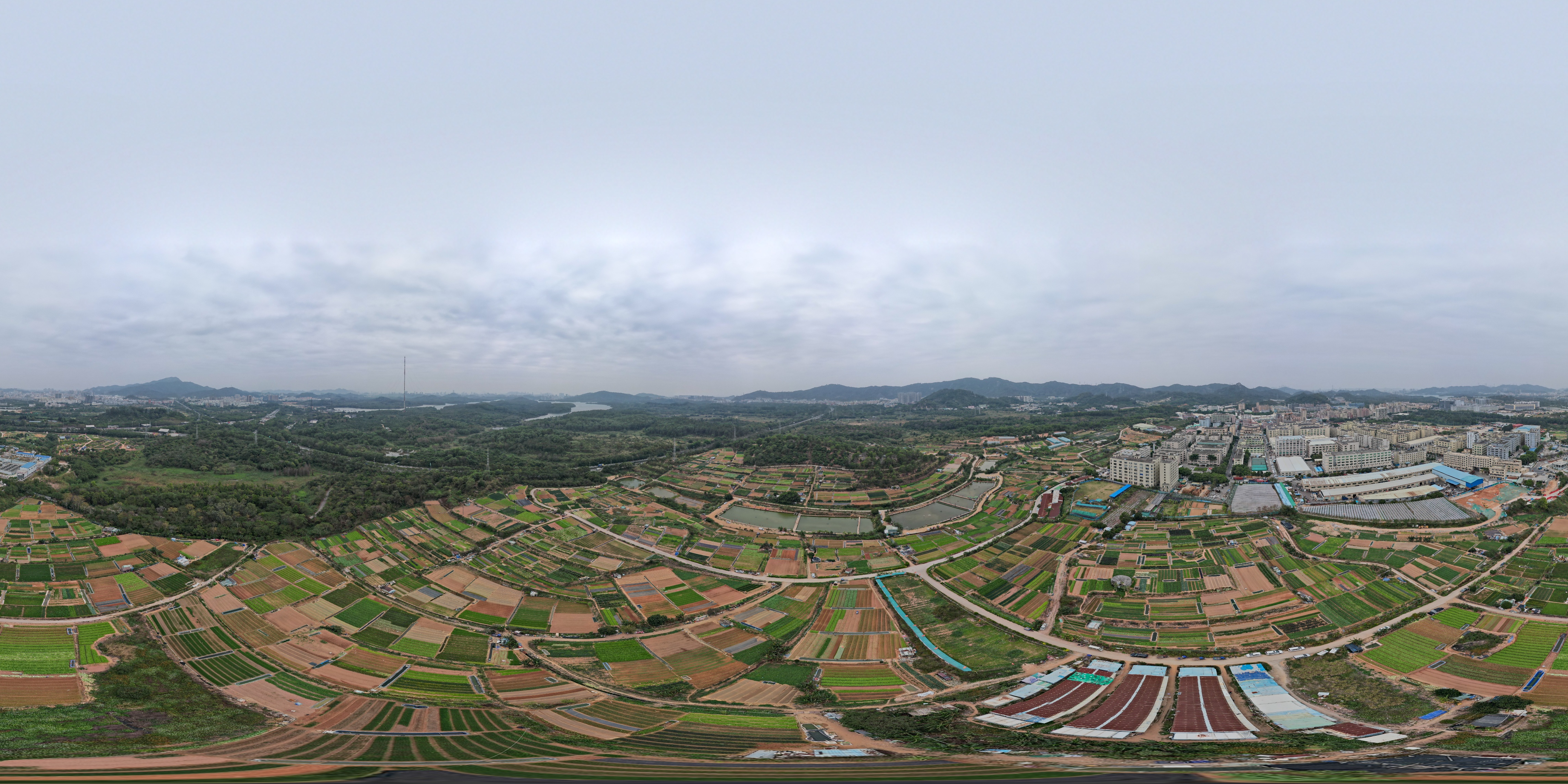 深圳宝安石岩镇料坑村田野农园，都市间一道亮丽的风景线