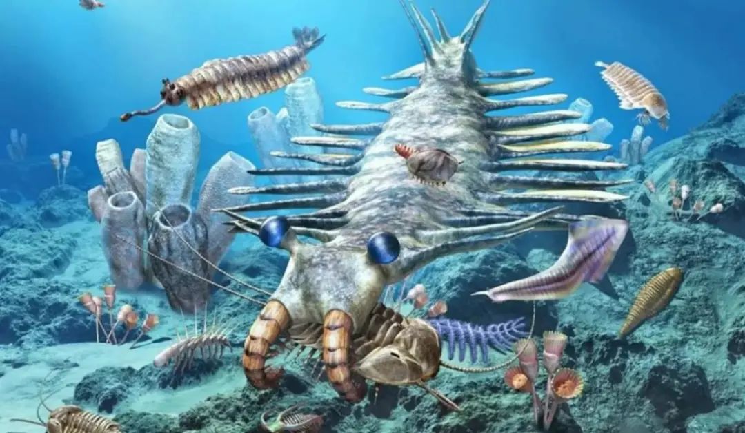 多灾多难，我们的未来还会好吗？