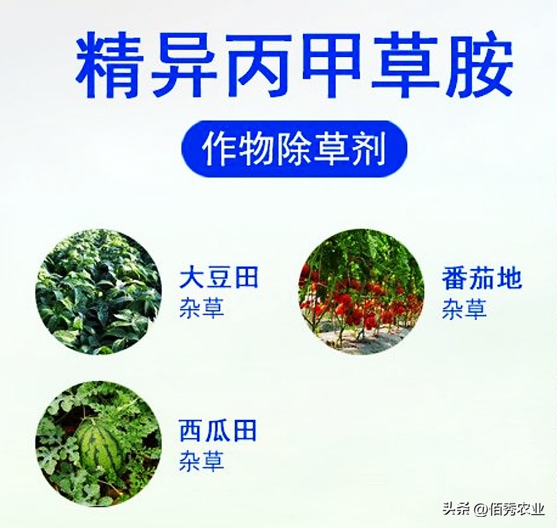 封闭除草剂丙草胺,对农作物有抑制的农药