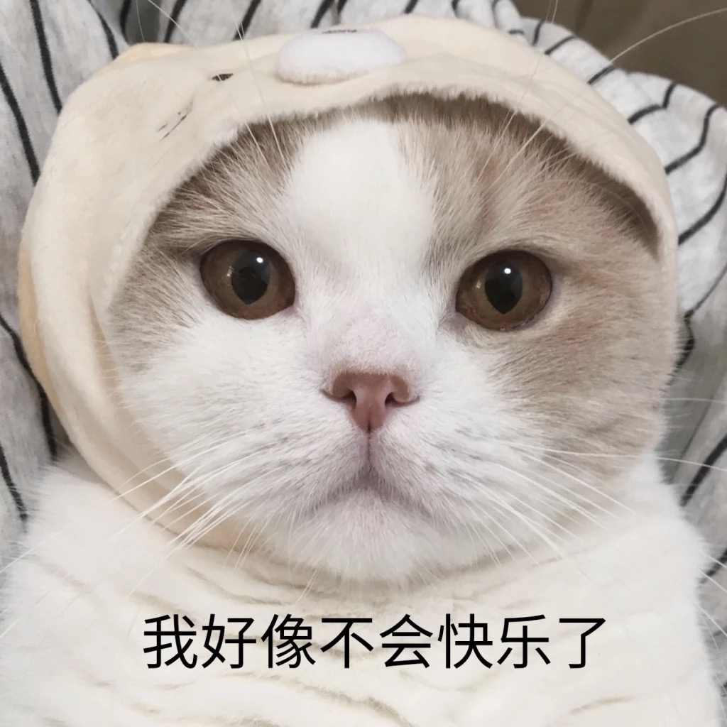猫咪出现了病情会出现哪些反应,猫咪出现这四种表现