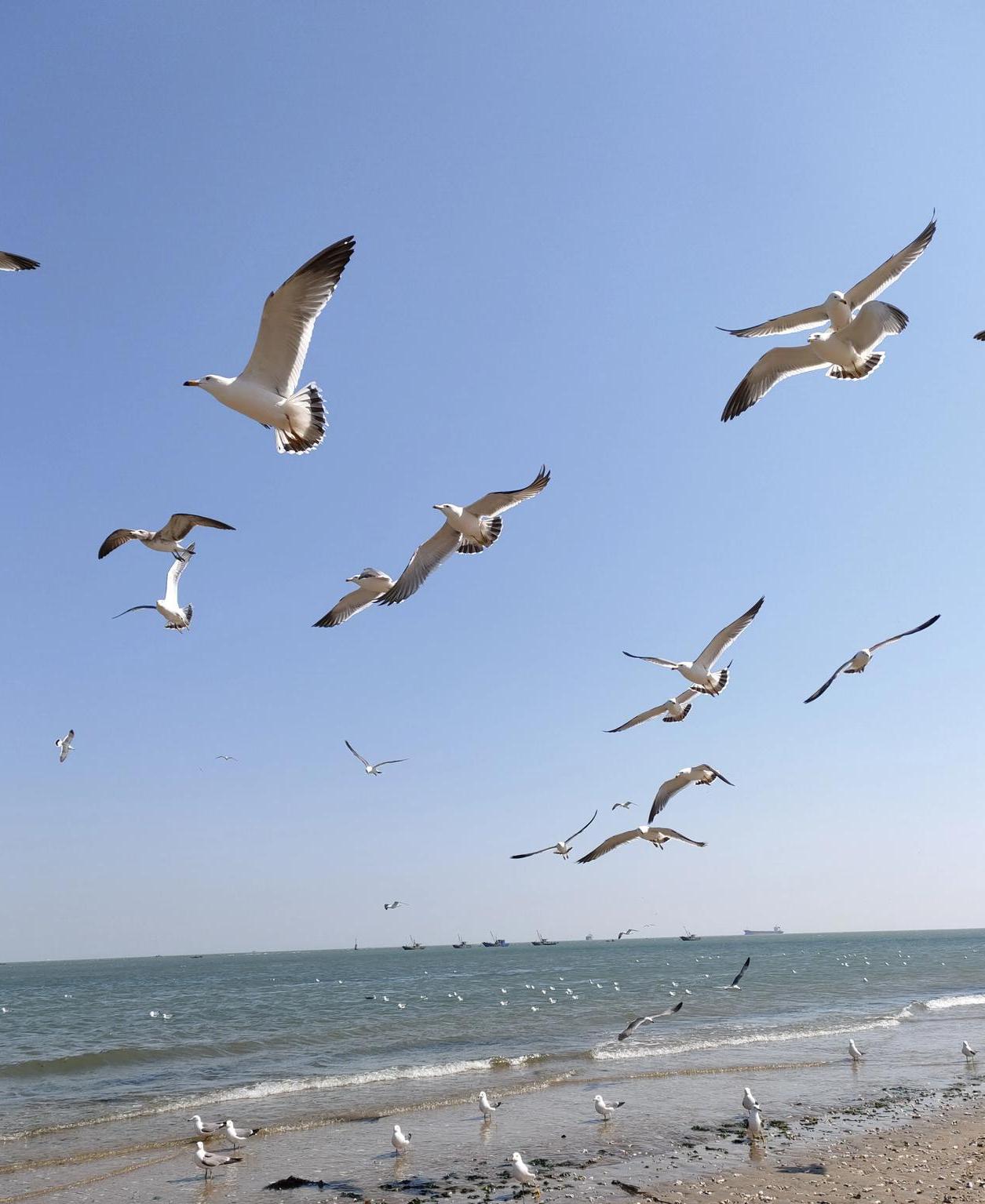 烟台气候景观特征介绍,烟台夏季气候