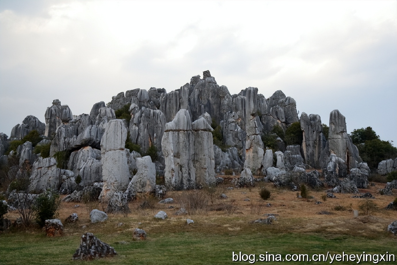 世界地质公园云南石林风景区,昆明石林国家地质公园