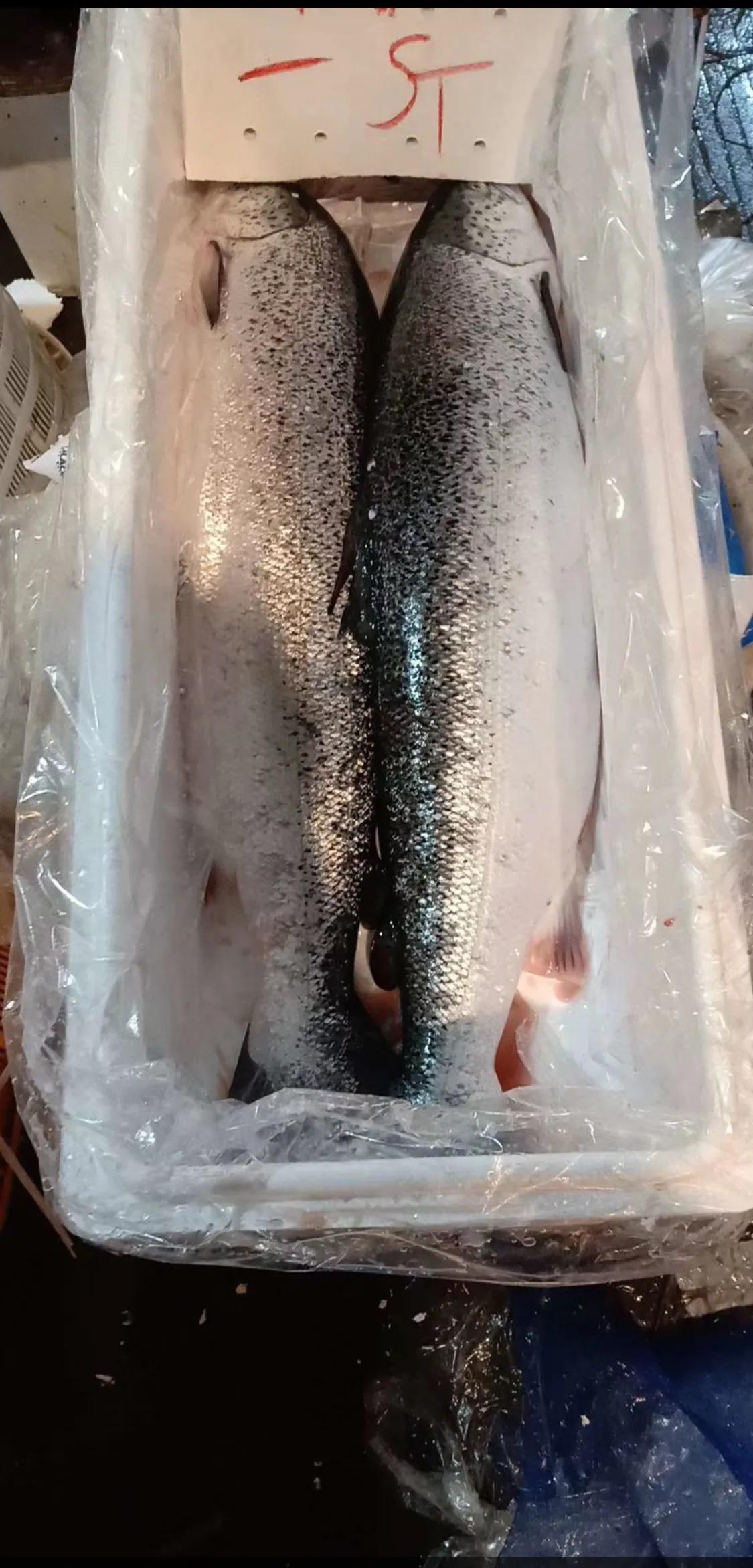 卖了7年海鲜,卖了两天海鲜都亏钱到底怎么回事