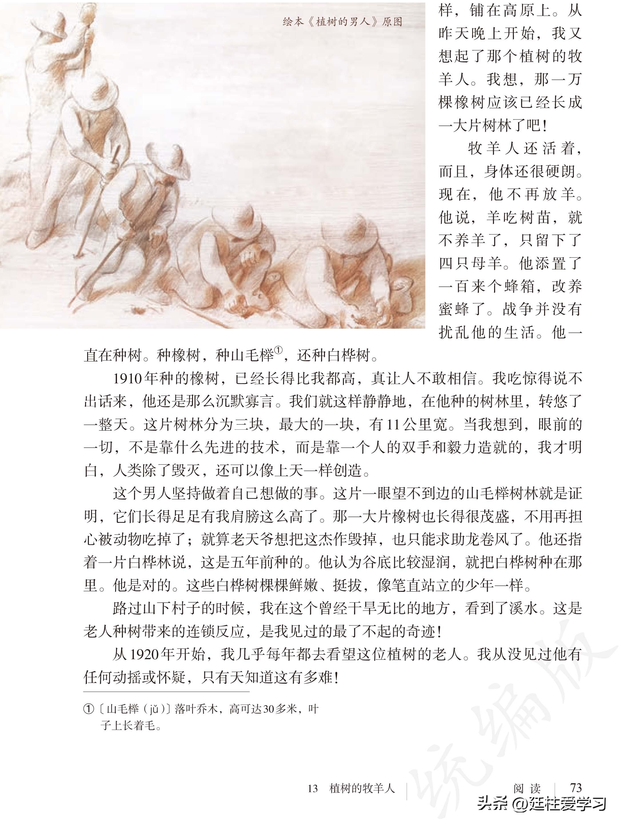 语文七年级上册电子版,语文七年级上册电子版课时练