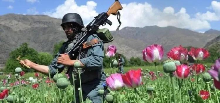 金三角探秘越南,金三角真实探险