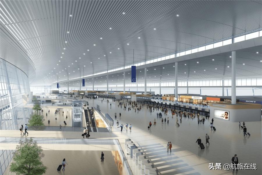 青岛航空怎么单独给小孩买机票,青岛航空买免费儿童票