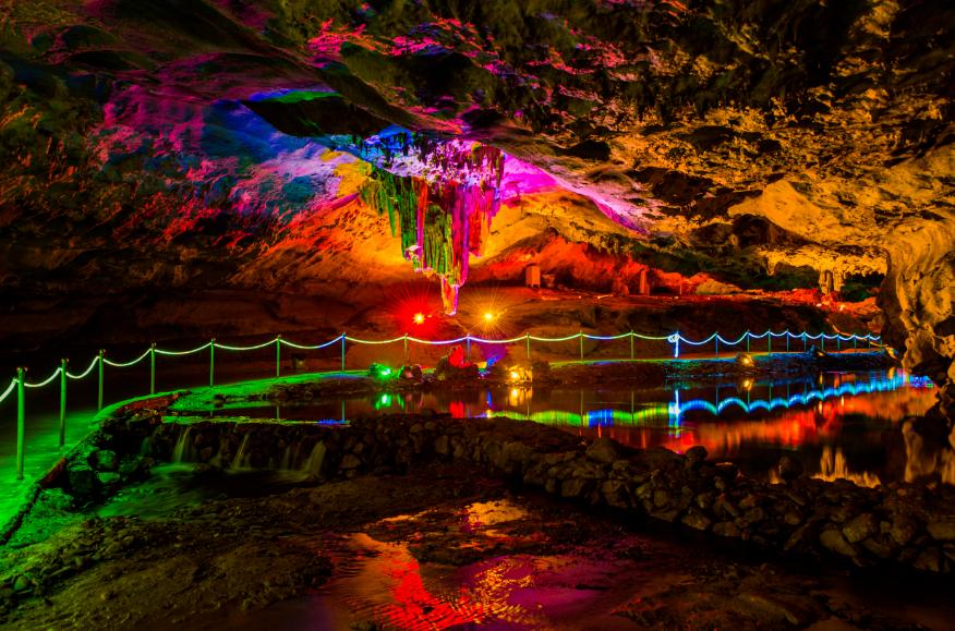 到咸宁看国宝过大年,离家45年的国宝回湖北咸宁过年