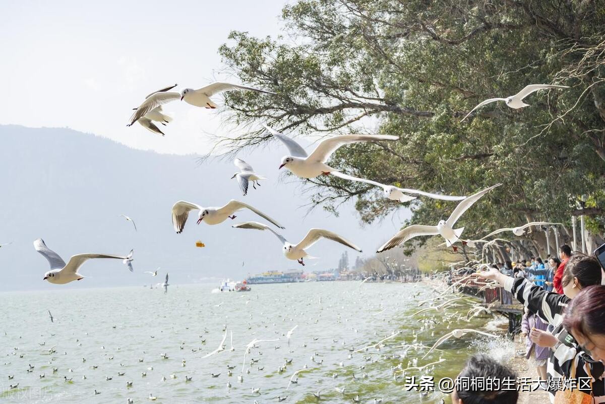 昆明冬日两日游,清爽一夏完整版免费