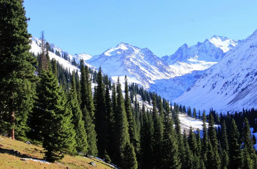 独库独行,独库南库