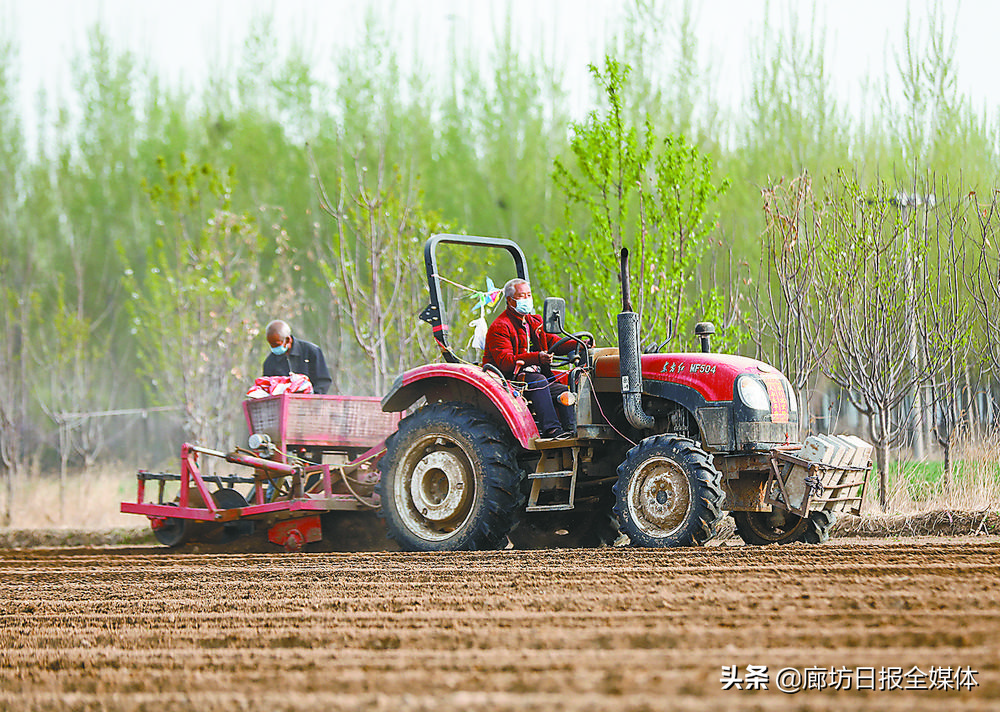 乡村变美产业变强,村美民富和谐