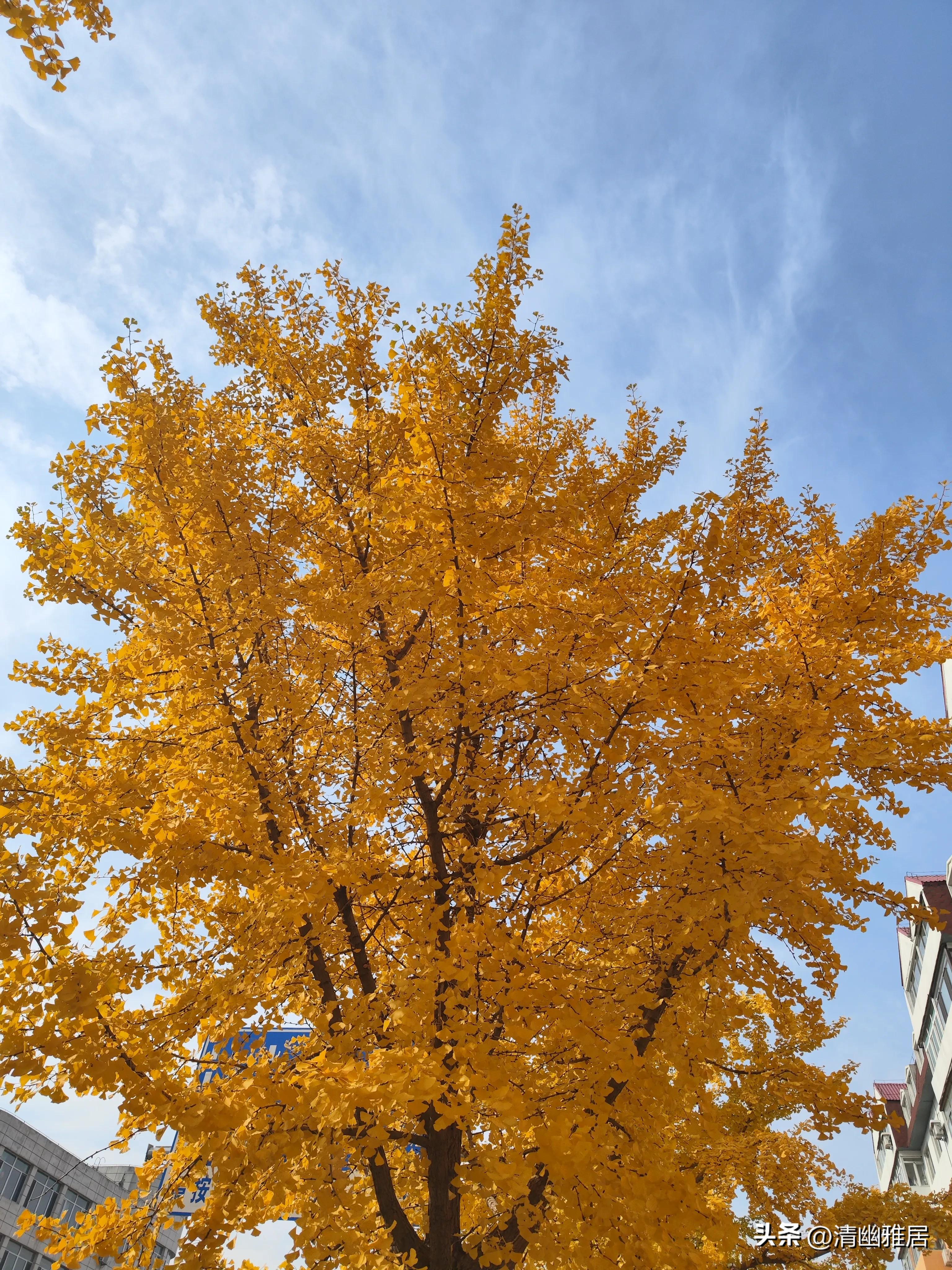 早安晨语经典,早安晨语带日期