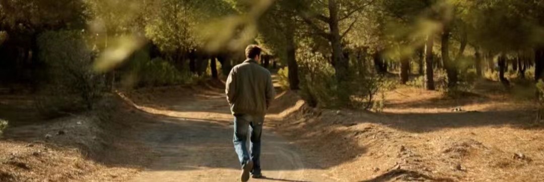 野梨树完整版免费观看,关于野梨树的电影