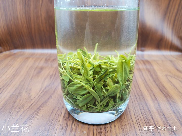 安徽金山时雨茶属什么茶,福建茶和安徽茶哪个好