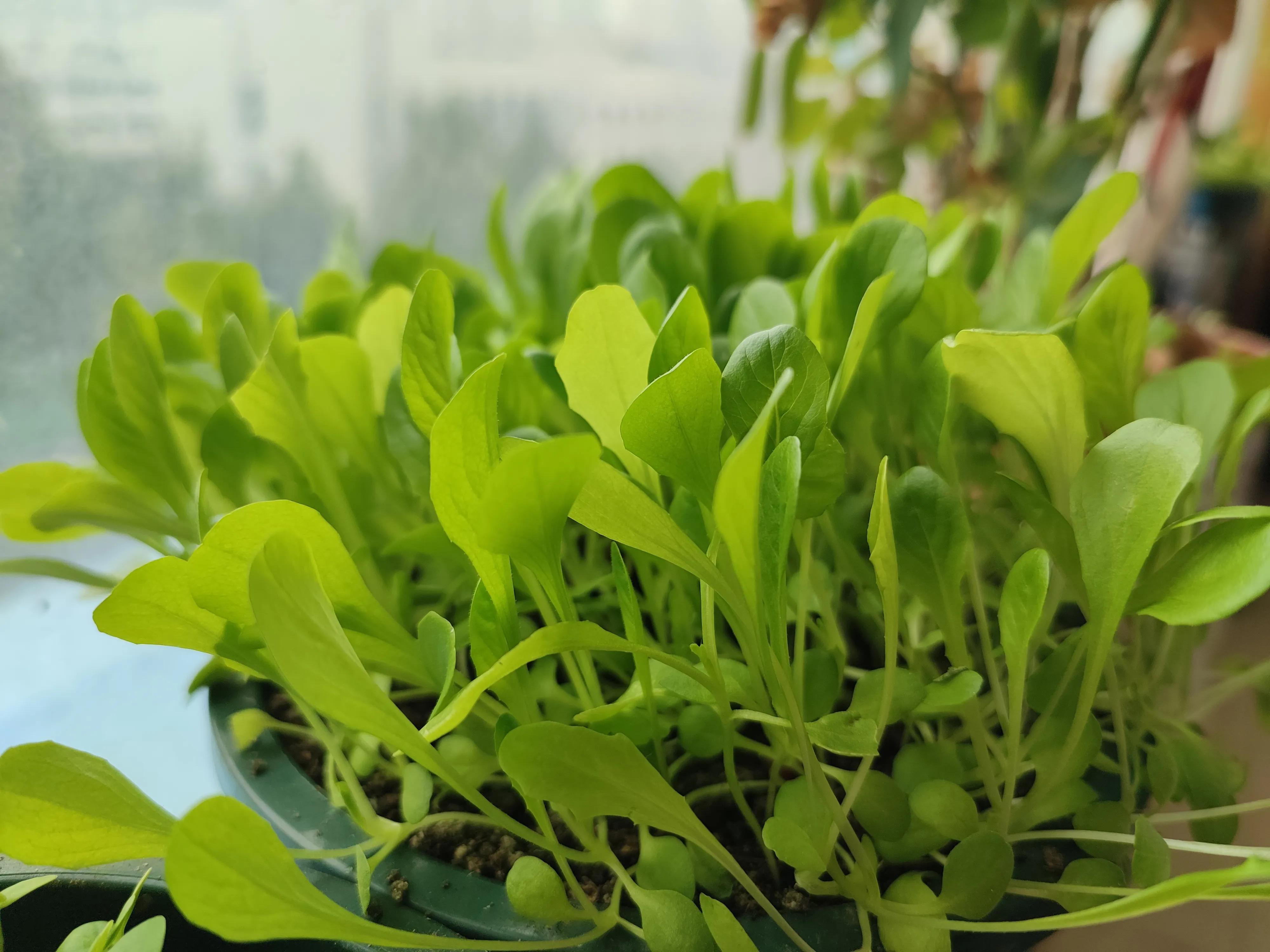 为什么要在实体店买东西？实体购物与网络购物的区别