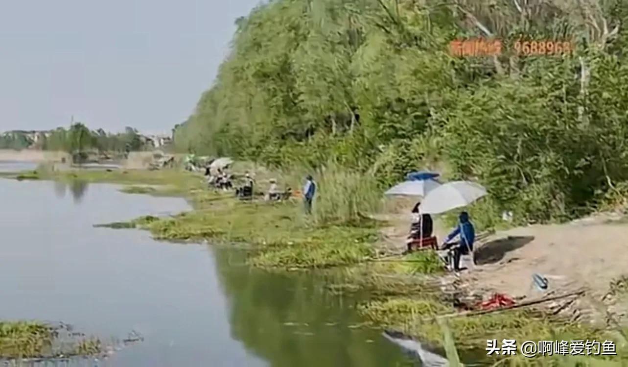 骆马湖钓鱼怎么样了,现在骆马湖钓鱼情况怎么样