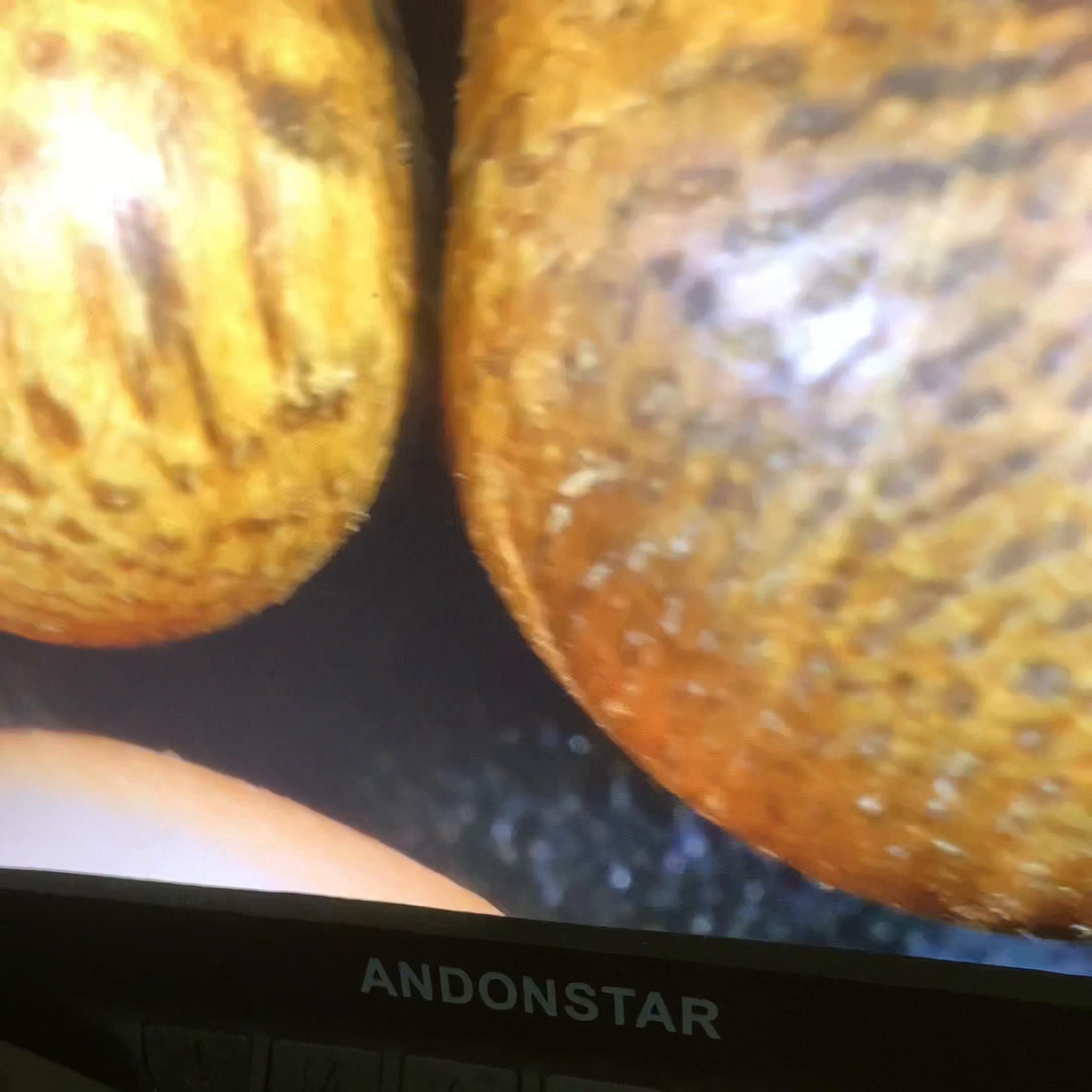 真假沉香的鉴别方法视频,怎样鉴别沉香和奇楠沉香的真假