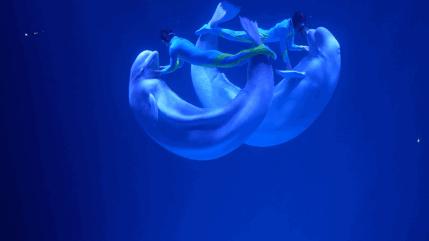 大无语事件！268元买了哈尔滨极地公园亲子票，被路人追着问了三条街！