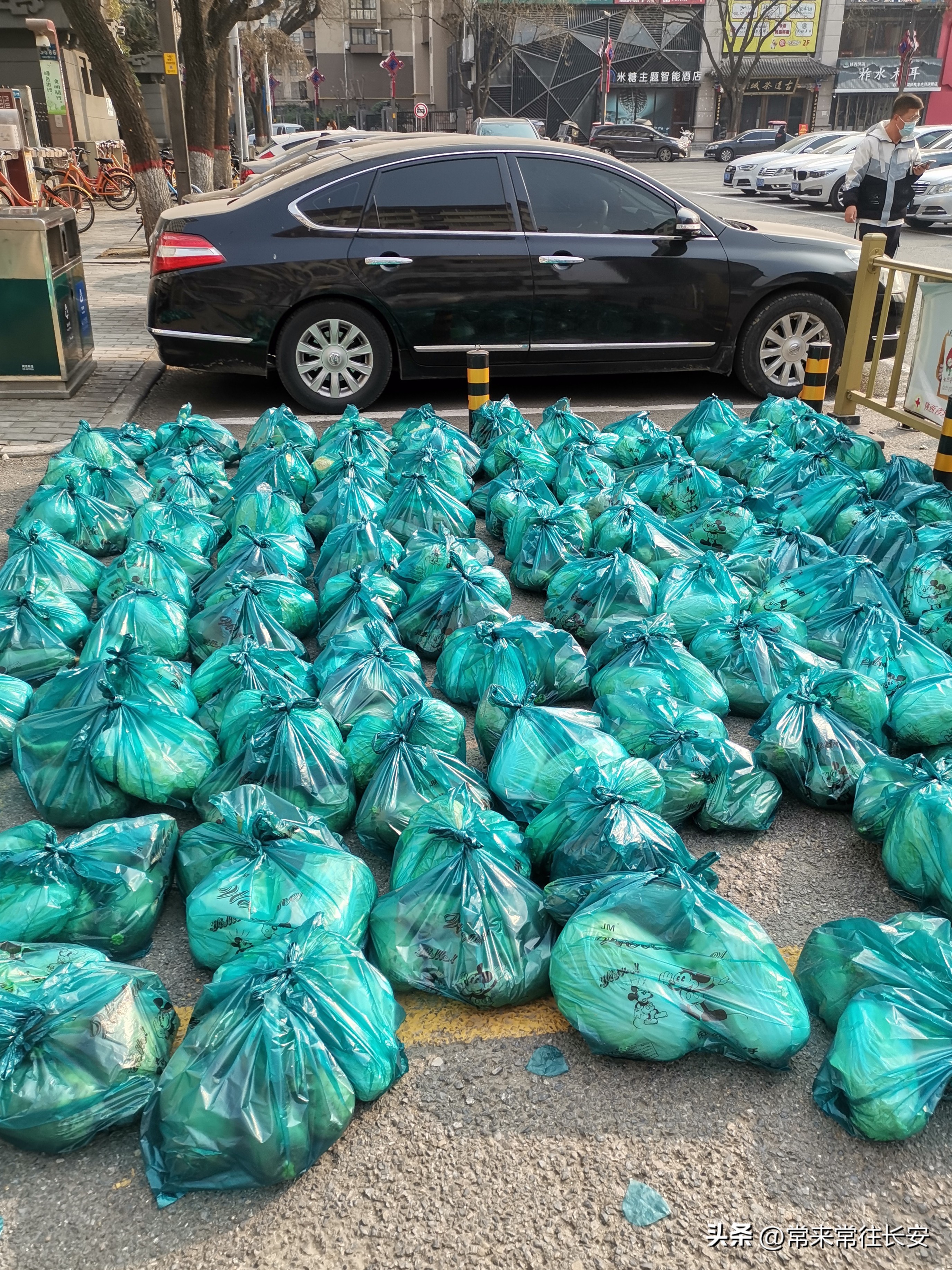 南院门蒲公英志愿者相互关守“白菜萝卜表示我一点心意”西安之声