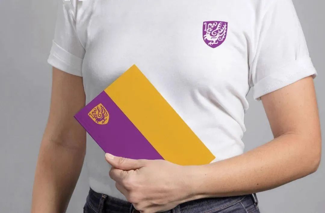 香港中文大学新校徽引争议,香港中文大学校徽改了吗