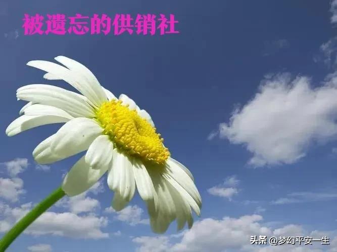 供销社经历的困难,怎么在供销社赚钱