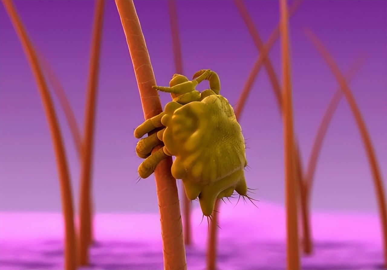 私密部位的毛，究竟能不能脱，怎么脱，这3种情况下，建议剪掉