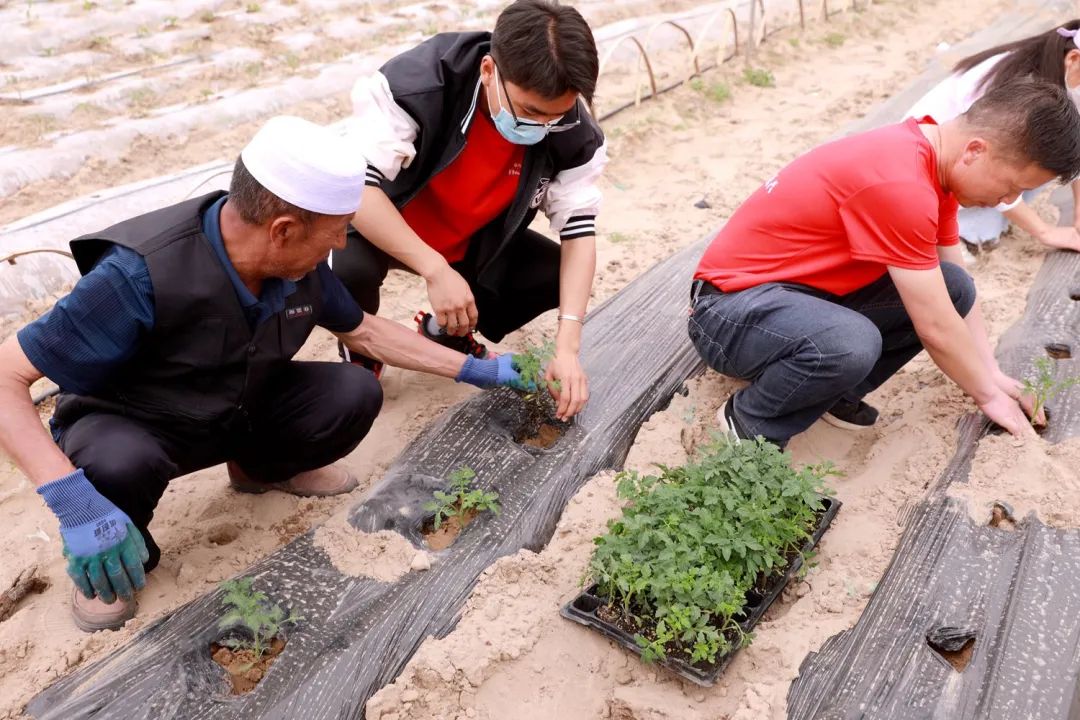 银川科技学院2021征集志愿三次,银川科技学院2023年征集志愿