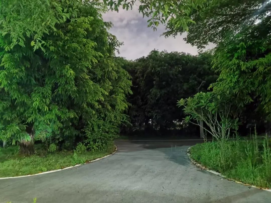 离谱导航路线的背后,离谱导航