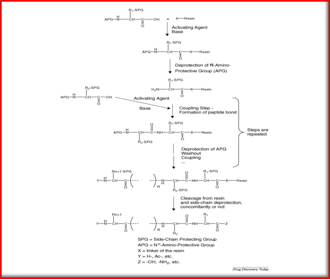 合成多肽VS小分子化药：药学研究有哪些不同？