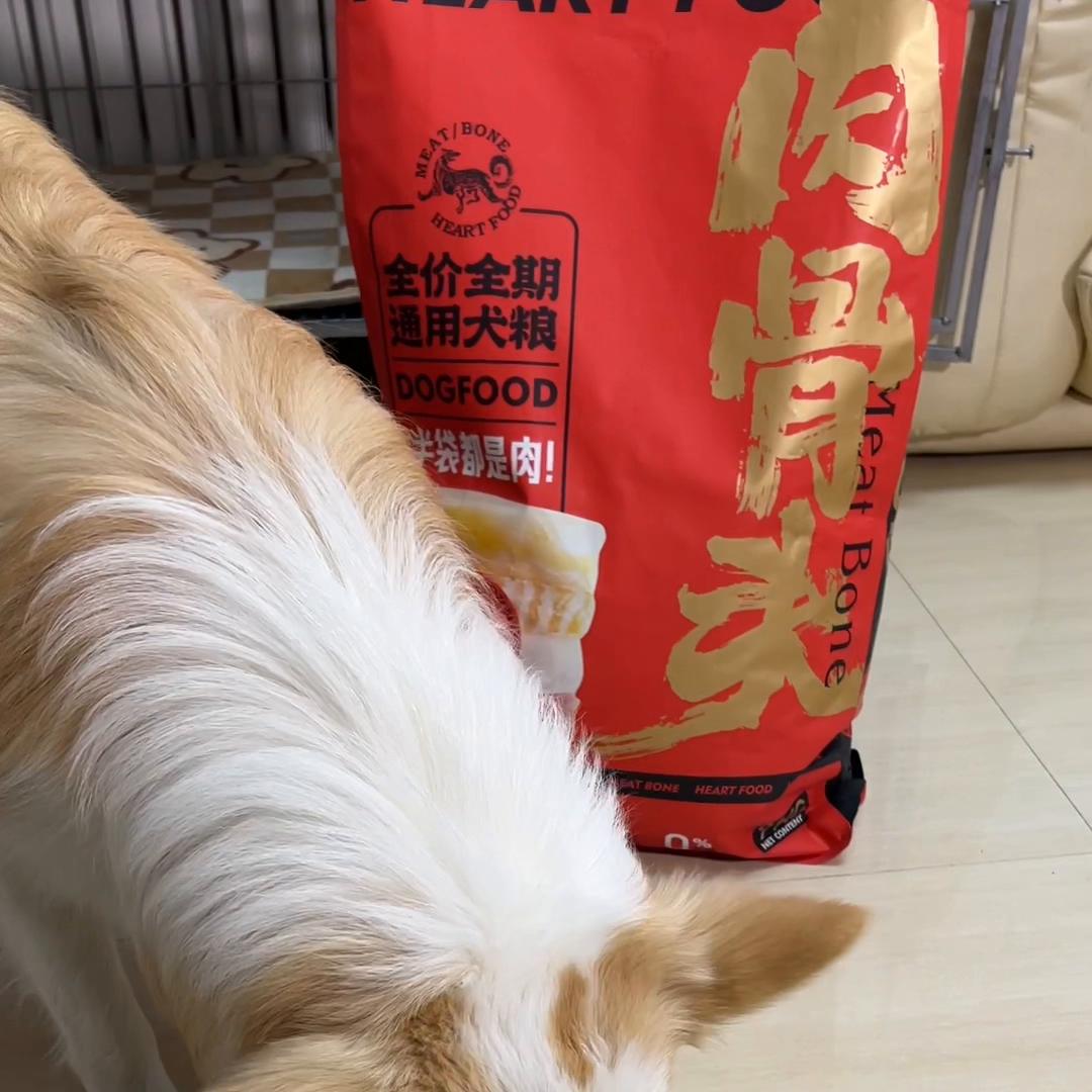 幼犬一吃饭很激动怎么训练,吃饭特别快控制不住有心理问题吗