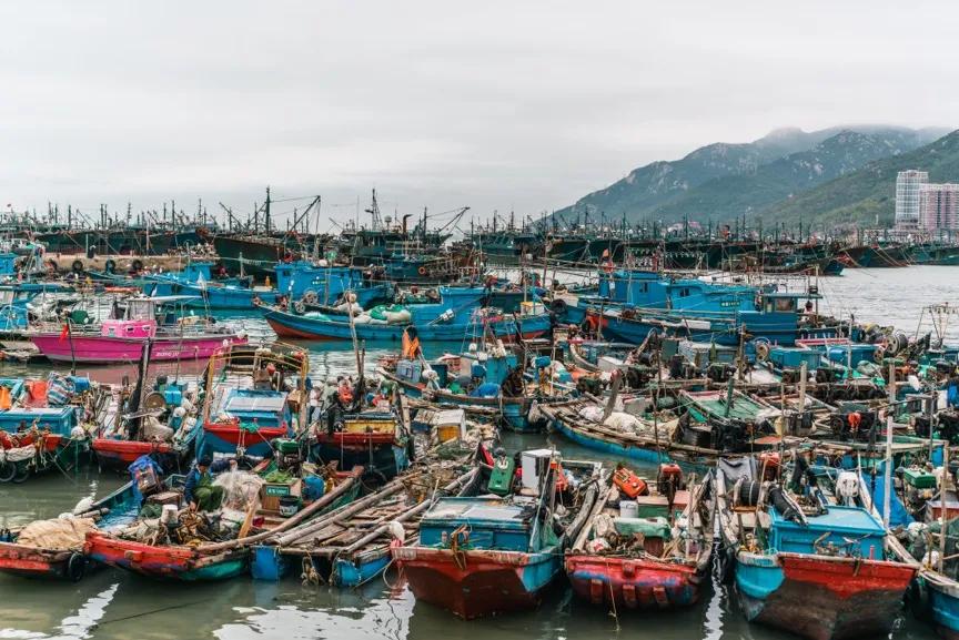 腾龙28-75使用体会,腾龙28-200旅行