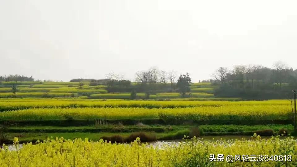 家谱文化传承的背景和意义,家谱作为历史文献的价值与局限