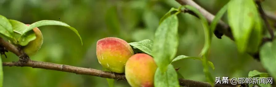 峰峰网红打卡地,寓教于玩幼儿园