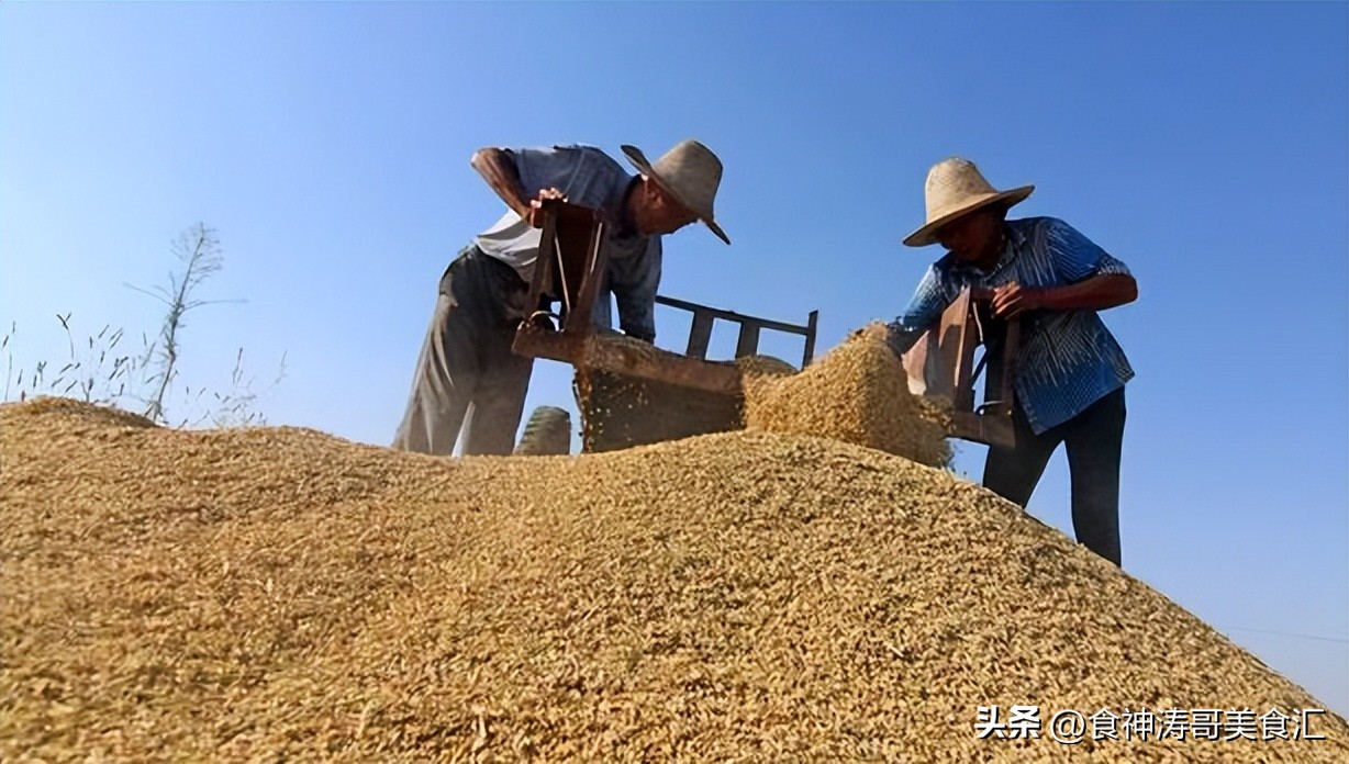 1斤纯粮食白酒到底要多少成本,1斤白酒成本多少