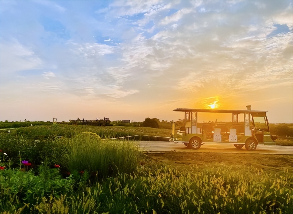 空港花田怎么免费开放,空港花田最新信息