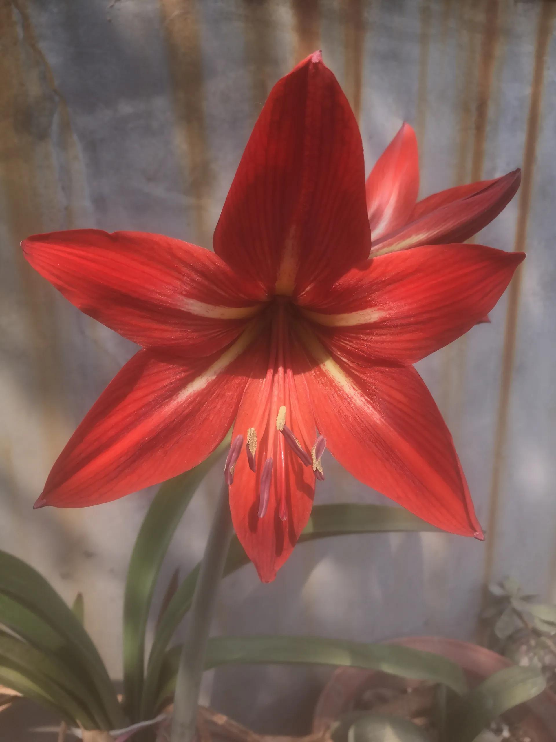 要男人有什么用经典语录,我要男人有何用完整版