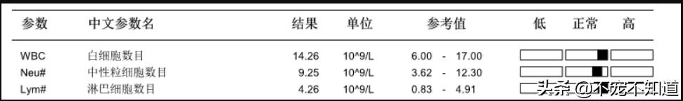 狗狗淋巴肿大，有可能是患了白血病