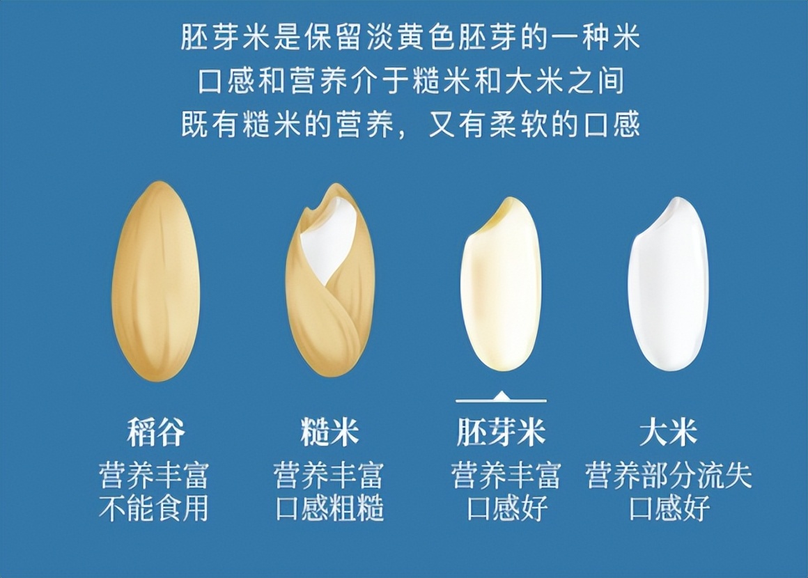 创业小本生意赚钱好项目,创业项目最新思路赚钱最多