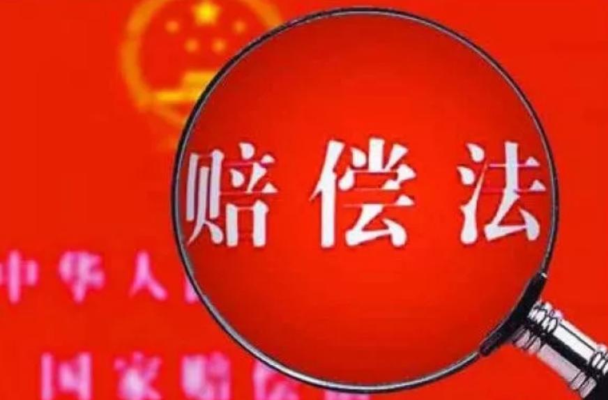 义务帮工人承担赔偿责任的条件,法律对国家赔偿内容是怎样规定的