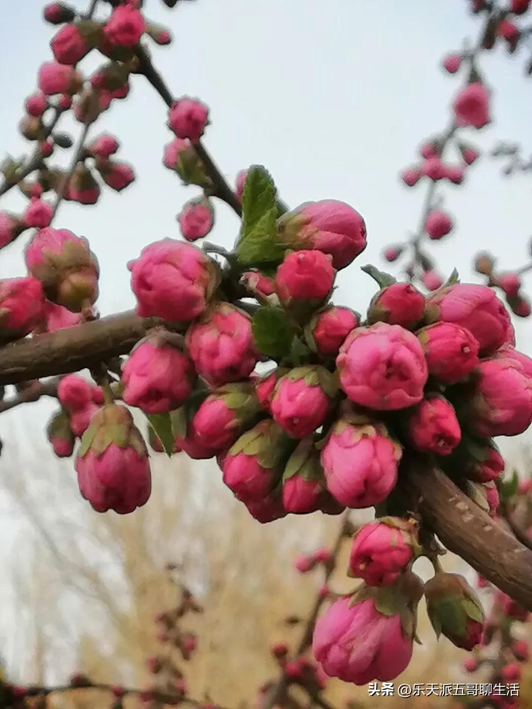 让男人容易成功的女人,能让男人坠入爱河的女人
