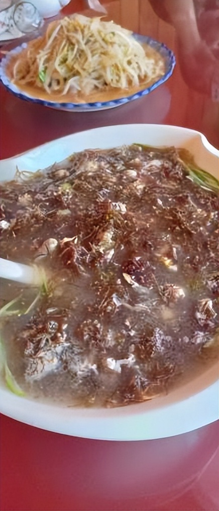 深入研究了青岛海鲜市场后，我重新理解了可持续的食物系统