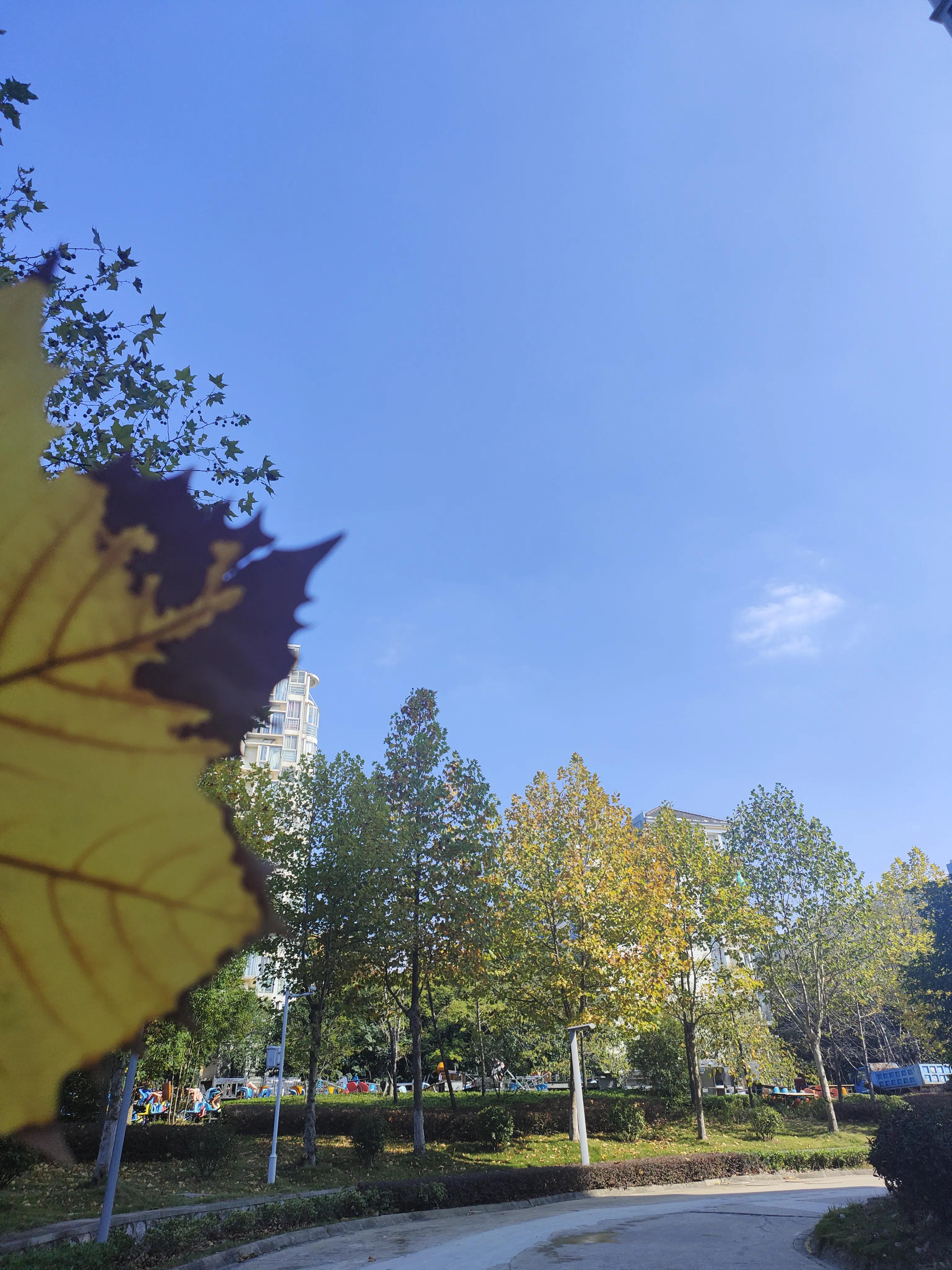 南京理工大学怎么看文献,南京理工大学专业怎么样