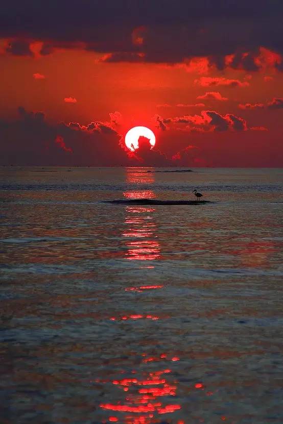 欣赏｜这七种色彩，装点了红尘人间！