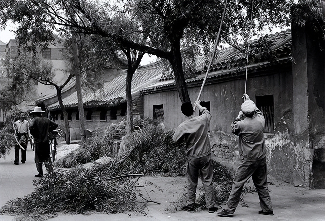 1980拍摄北京上海的外国摄影师,1980日本摄影师拍摄江西