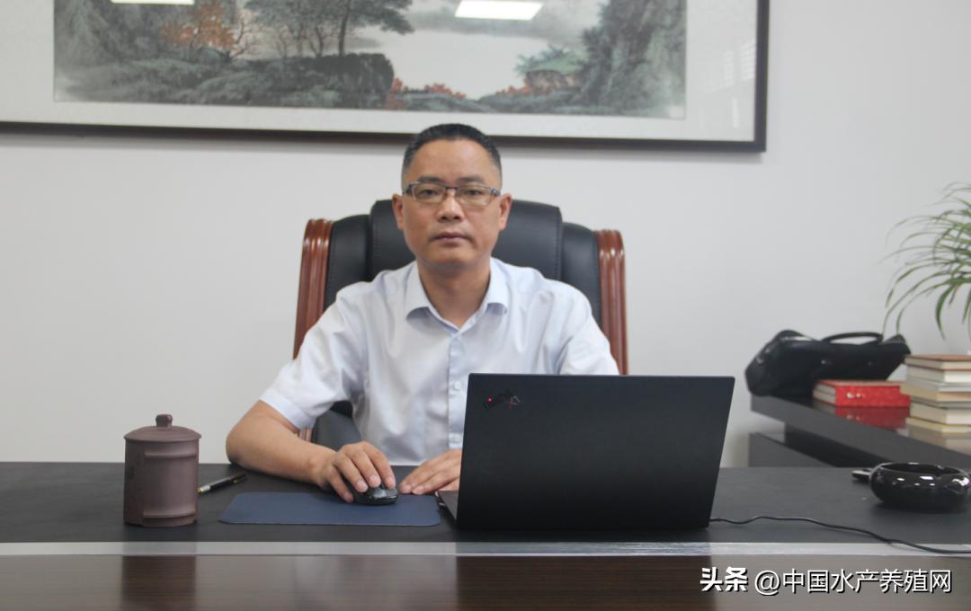 鲈鱼损失惨重,目前鲈鱼掉价的真正原因