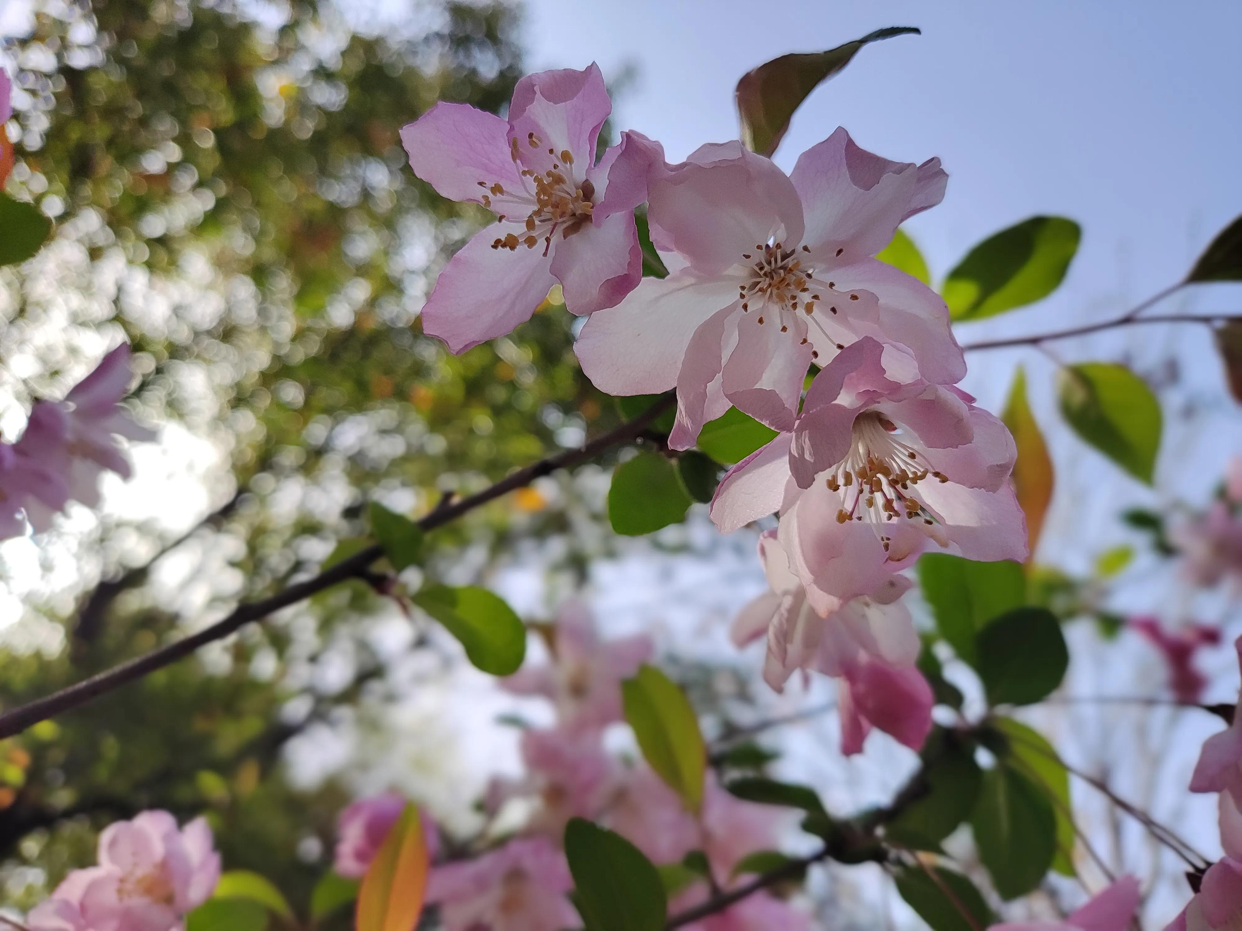 旅行的意义朗诵,旅行的意义温柔版