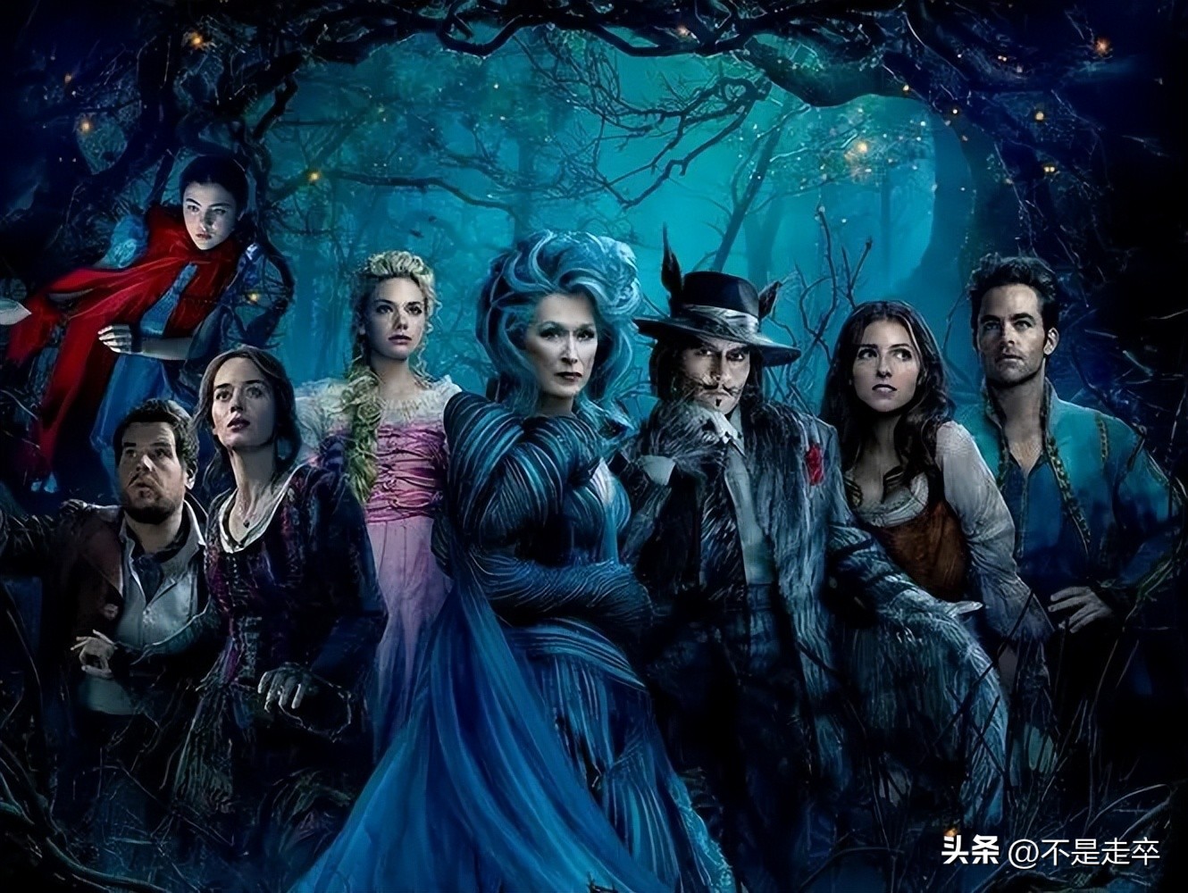 黑暗森林中的奇幻冒险,魔法黑森林看法