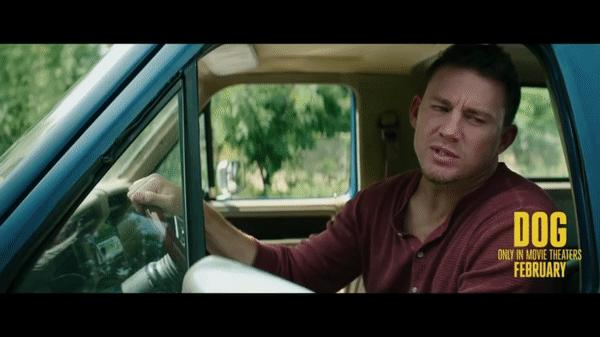 不爱学习曾当*男舞**,三年内成一线偶像,演技差还受欢迎,如今做导演