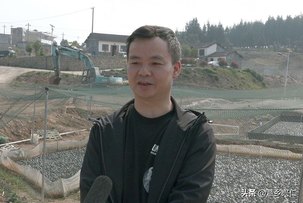 扶贫产业牛蛙养殖基地,牛蛙养殖扶贫项目